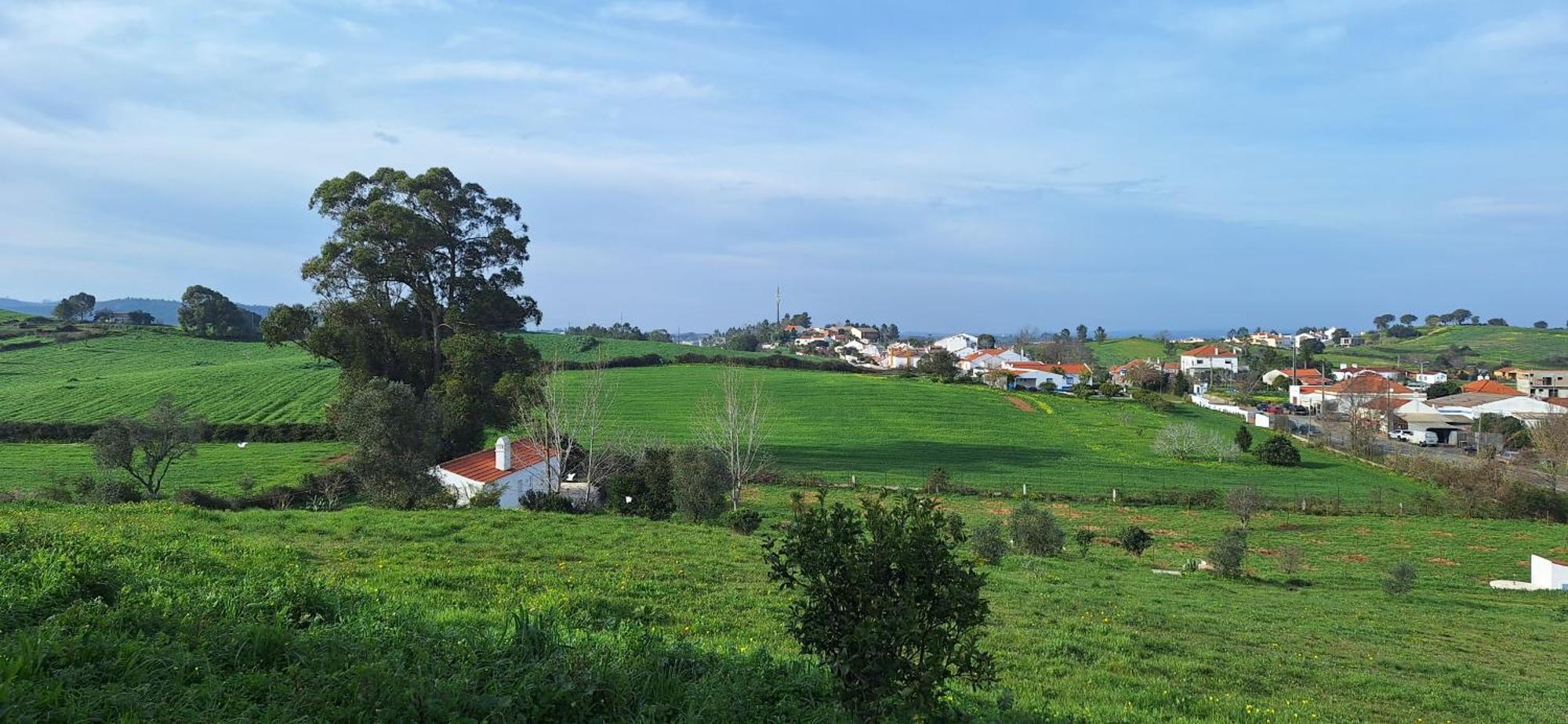 Portela Guesthouse Cercal do Alentejo Esterno foto